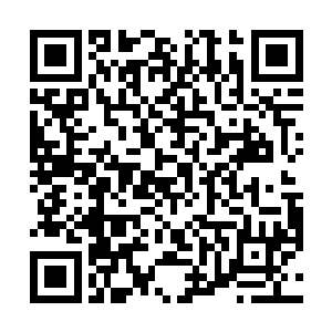 在揽月门和星云圣地甚至于傀儡宗都一往直前盗取宝库二维码生成