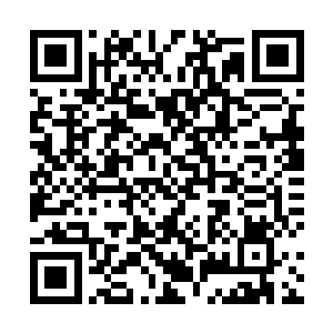 在摇曳的海草中找到了一块差不多十米方圆的青石地面二维码生成