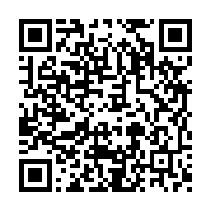 在摸索的过程中找到最合适的基因片段进行植入二维码生成