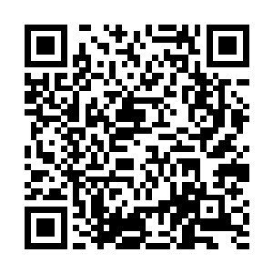 在政经两届的势力根本不是六大现在的东家所能抗衡的二维码生成