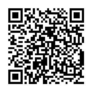 在教练席前站着的贝尼特斯扭头看了看自己身边的教练同事们二维码生成