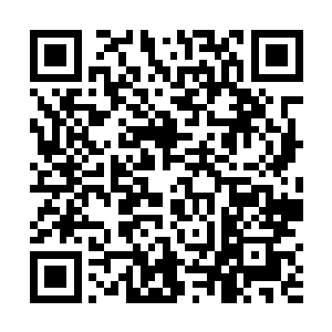 在数千年前古墓中出土陶罐中的美酒甚至可以直接饮用二维码生成