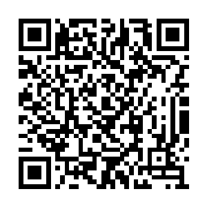 在整个修真界成千上万的宗门中是最顶尖的存在二维码生成