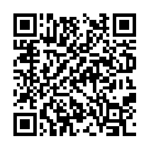 在整个周天大陆周天圣城也是一个十分特殊的存在二维码生成