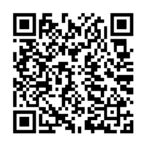 在整个寰宇天界虽然说老夫的天幻大阵不能说牢不可破二维码生成