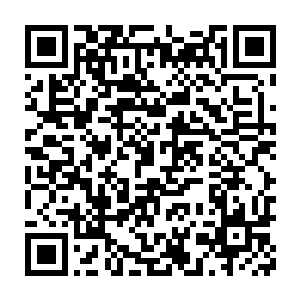 在整个暗水派内山的所有人的神魂中都感受到低沉的镇魂之音鸣响二维码生成