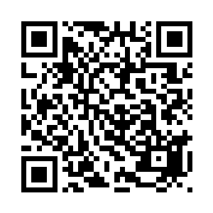 在整个木灵一族不惜工本的投入下二维码生成