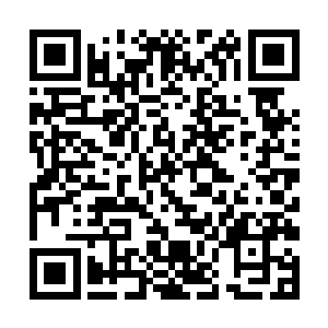 在整个过程当中不能够把所有的一切都给催化和放大二维码生成