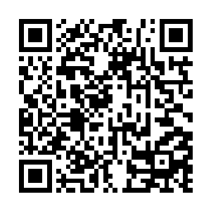 在整座大陆的中东部范围形成了巨大的灰黑色天穹二维码生成