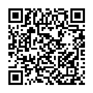 在旁边围观的小朋友们感动于阿尔和原帝以及严煦的二维码生成