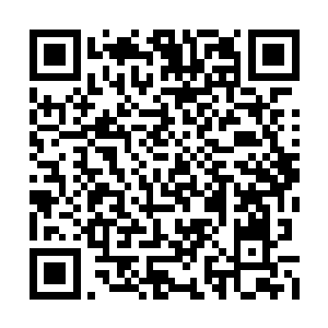 在族群遭遇到危险的时候是绝对不能率先逃跑的二维码生成