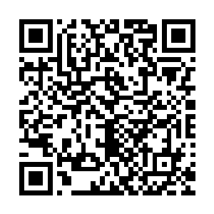 在无意间从古天龙口中探问到整个灵墟之地都在通缉他的时候二维码生成