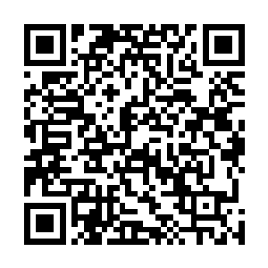 在日积月累当中所积累下来的战斗经验定然是格外的丰富二维码生成