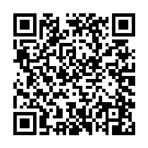 在星海从许家得到的六十一个星球送给隐世家族十颗二维码生成