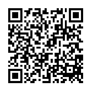 在星球上呆了一个多月连一点气感都没修炼出来二维码生成