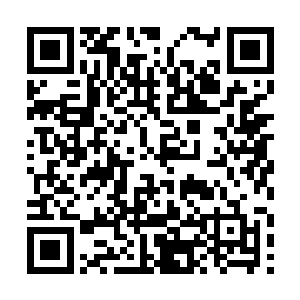 在星罗大千界没有谁升到哪一阶就能活多少年的说法二维码生成