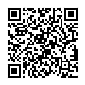 在昨日的试探当中得知两人的上线很可能是蒲信圭后二维码生成