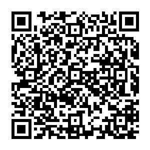 在暑假这个旅游旺季来中部卢瓦尔河游玩的法国本国还有其他国家游客也并不是特别多二维码生成