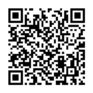 在暗中对抗消灭混入华国执行薪火计划的岛国鬼子二维码生成
