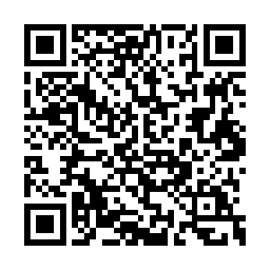 在最严重的时候迷晕了同为世家的三名嫡系女童二维码生成