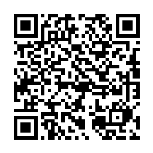 在最后一个字落下的时候指尖已然深深抠入掌心的肉里二维码生成