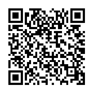 在最大的那一具石棺的棺盖上雕着一幅涂了彩的画二维码生成