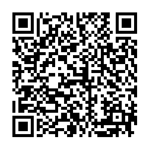 在月城地理位置比较偏僻的北郊环路的一家似是而非的饭店门口停下了二维码生成
