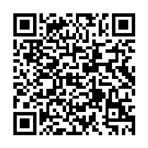 在有两位仙王强者出来讲和的情况下竟然还敢出手二维码生成