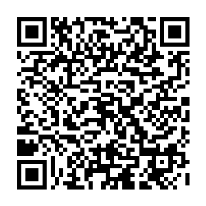 在有人开始以天灵石报价的时候有几个一直在竞价的都摇了摇头没再继续二维码生成