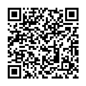 在木星和现在的火星之间那片挤满了小行星的区域二维码生成