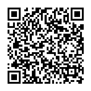 在未来这套语系更因为九原部落的强大和影响力而成为了这个世界利用最广二维码生成