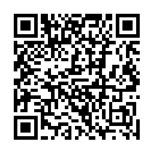 在李健身体周围竟然出现了无数细小如飞蚊的银白色蛊虫二维码生成