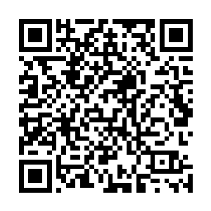 在李维斯真正发挥出纯粹生死边缘之间修炼出来的战斗经验二维码生成