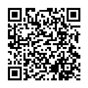 在杨修同等人的追随下回到了他在村中落脚下榻的那座小院后二维码生成