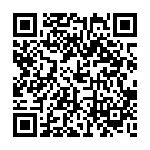 在杨建勇的精神冲击即将让韩风精神崩溃的时候二维码生成