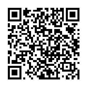 在杨开左右手的手背上留下了解开能量封印的钥匙二维码生成