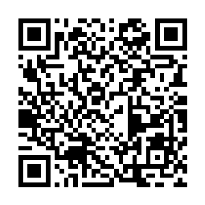 在杨戬的面前出现了一个高达两百多米的恐怖的金色的身影二维码生成