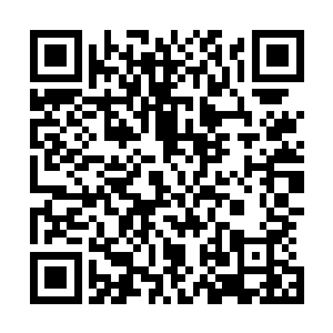 在松岛纪代表武仁考察团接受了朱雀高级中学提出来的多个二维码生成