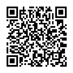 在树上的长生随着大树晃动也开始左摇右晃起来二维码生成