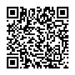 在案件处理完毕后会安排媒体对两个嫌疑人进行采访二维码生成