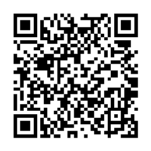 在案前每天按我教你的天罡北斗在不同时辰的走法二维码生成