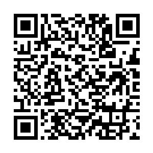 在棉兰老岛首府就做小贩的维杰当然还是选择了开店二维码生成