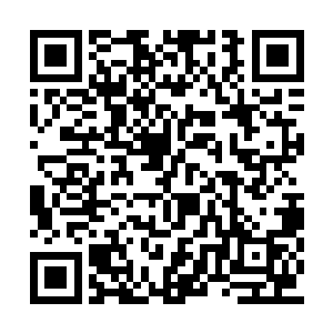 在植物园打坐静修的岳恒感觉鼻子下面有些痒痒二维码生成