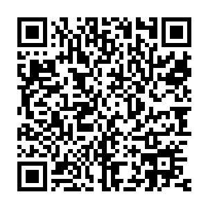 在楚子厚拉起她的手快速地往前走时她才突然想起随身带着的那把琴来二维码生成