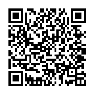 在楚阳凑过来的时候立马将自己的手机收了起来二维码生成