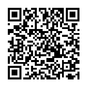 在欣然亭南专门辟出了二十余亩北方不易见到的稻田二维码生成