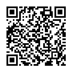 在欧阳剑南的心里面他可能是将大猪和另一个家伙当狗二维码生成