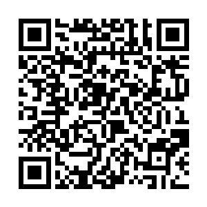 在此之前又是金陵世家望族苏家主家最受疼爱的幺子二维码生成