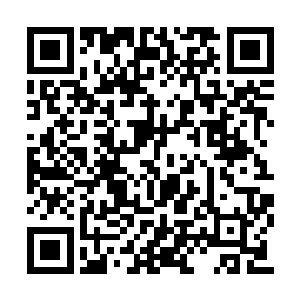 在此既没有黑植位面那种远远超越自己的大商会二维码生成