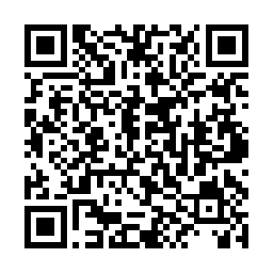 在武家长老堂那几百位长老心中的地位肯定下降了很二维码生成